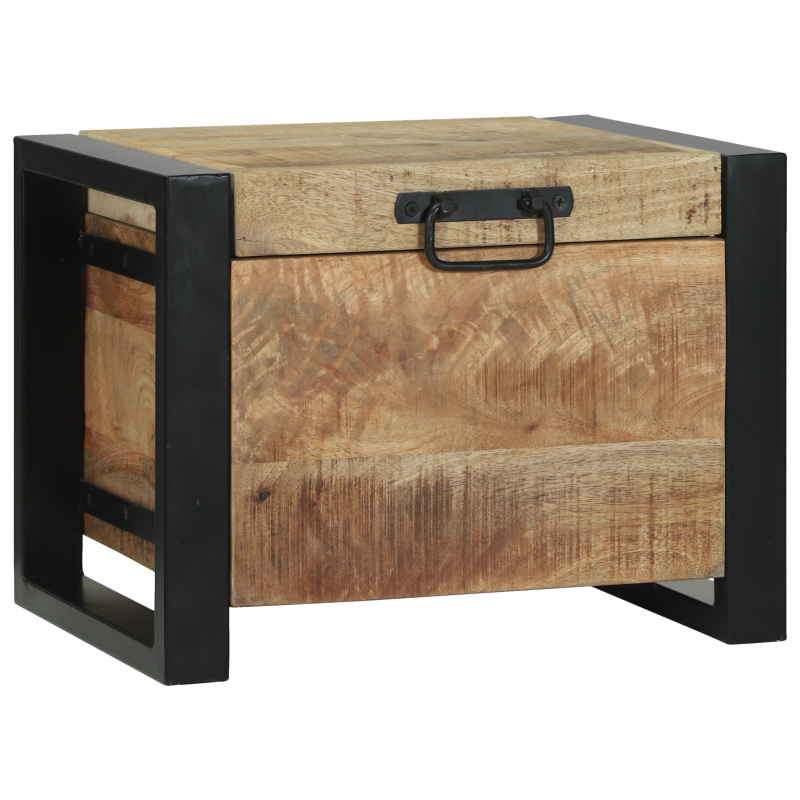 Lagertruhen 40x30x30cm aus massivem Mango-Holz und Metall