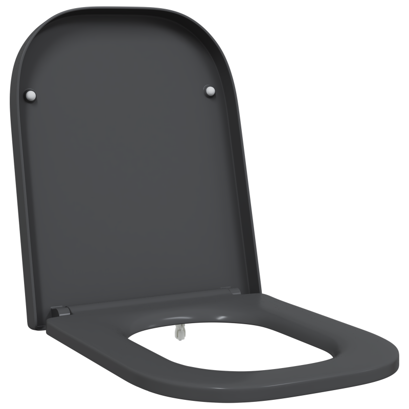 Toilettensitz mit Schnellverschluss und sanftem Schließen Duroplast Anthrazit