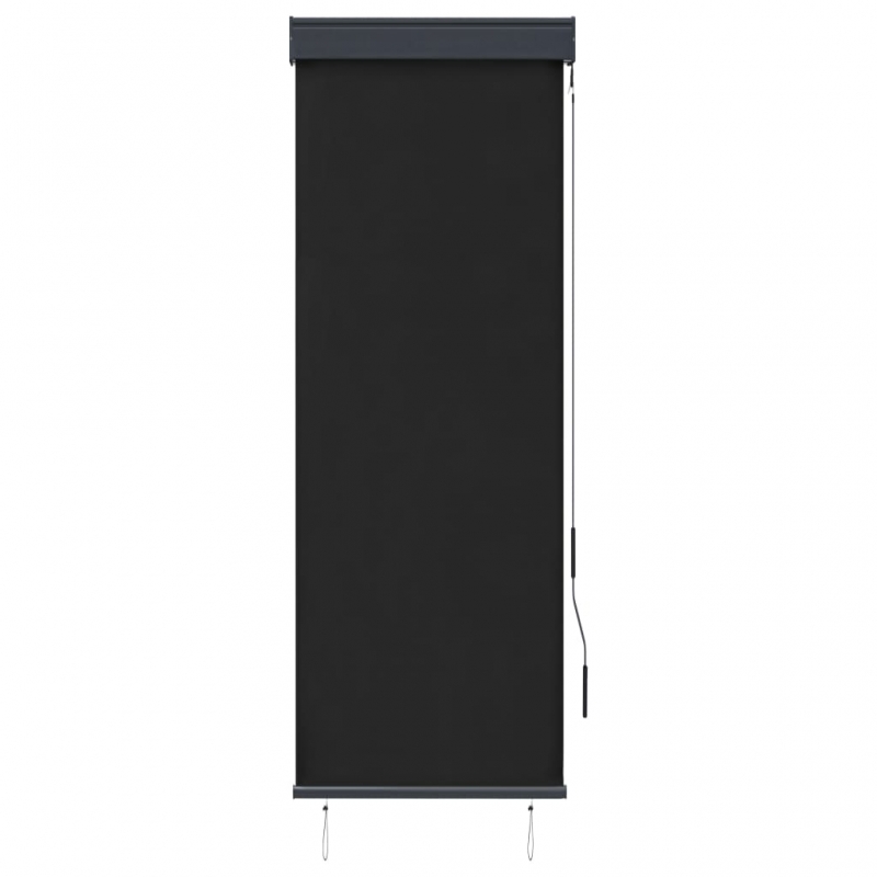 Außenrollo 60 x 250 cm Anthrazit