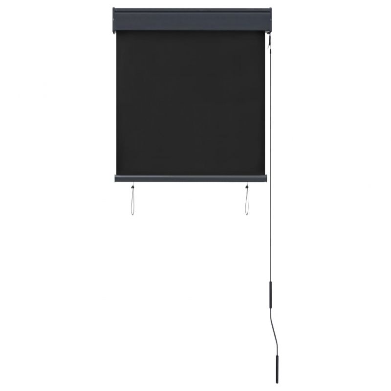 Außenrollo 60 x 250 cm Anthrazit