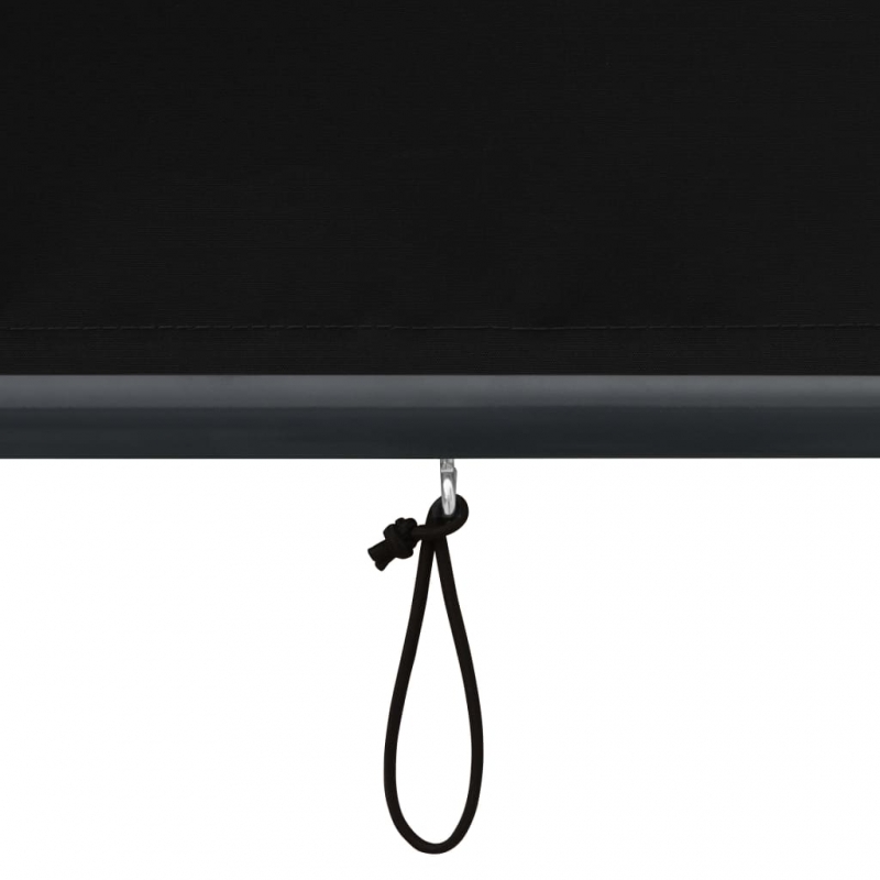 Außenrollo 60 x 250 cm Anthrazit