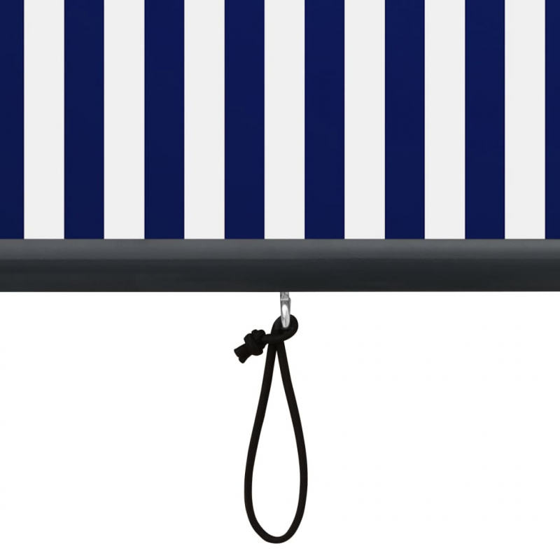 Außenrollo 160x250 cm Blau und Weiß