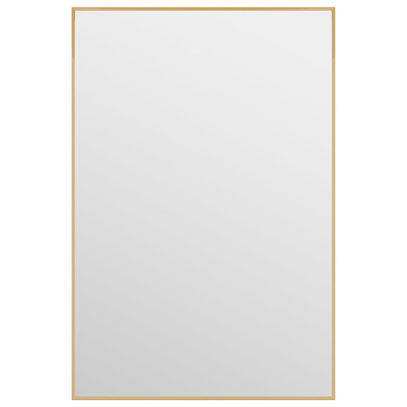 Türspiegel Golden 40x60 cm Glas und Aluminium