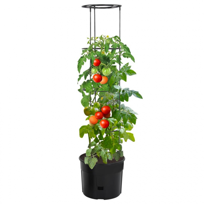 Tomatentopf Anthrazit Ø39x150 cm Polypropylen