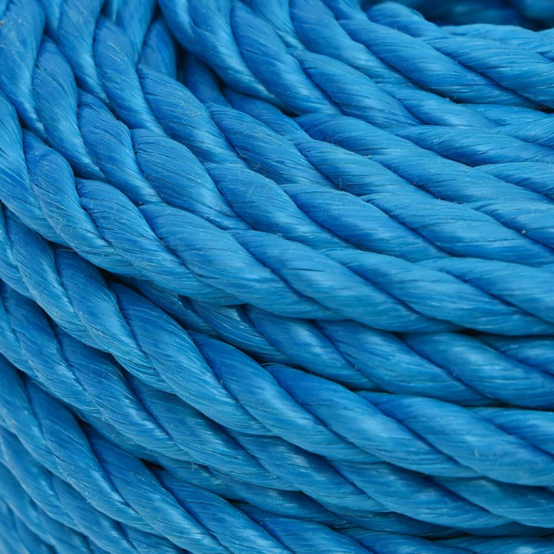 Arbeitsseil Blau 10 mm 50 m Polypropylen