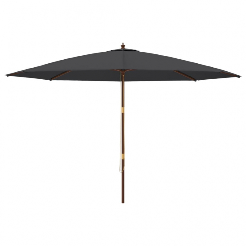 Sonnenschirm mit Holzmast Schwarz 400x273 cm