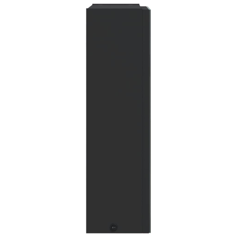 Spiegelschrank mit LED-Beleuchtung Schwarz 45x13x52 cm