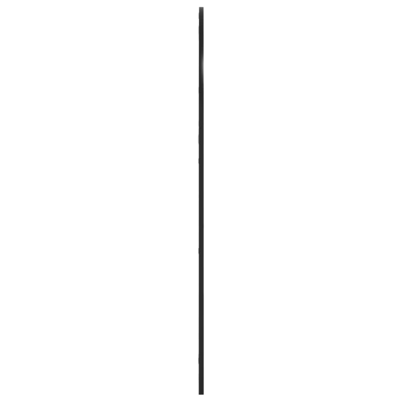 Wandspiegel Schwarz 80x120 cm Gewölbt Eisen