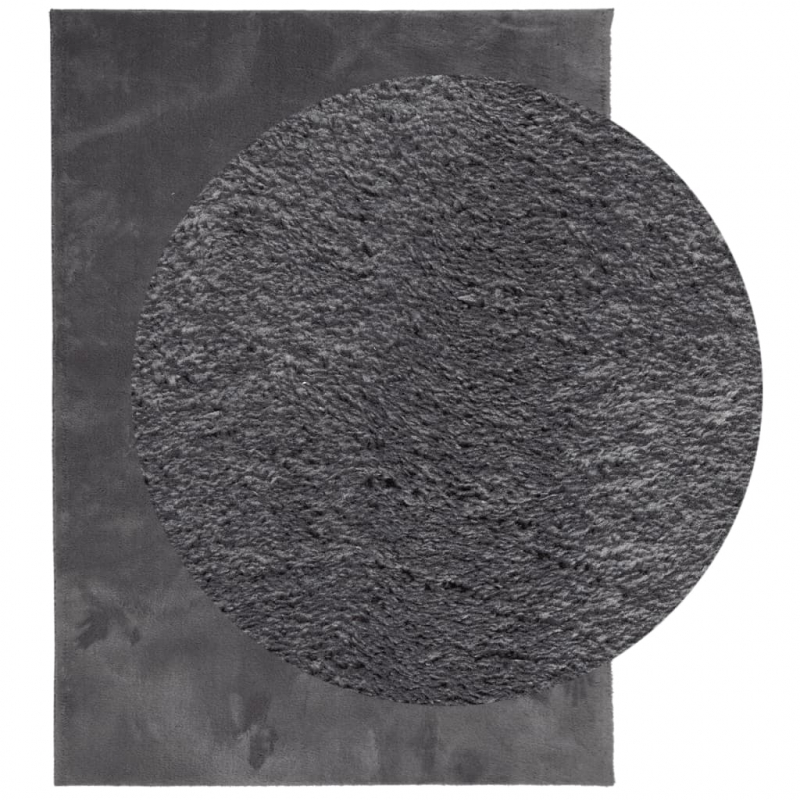Teppich HUARTE Kurzflor Weich und Waschbar Anthrazit 160x230 cm