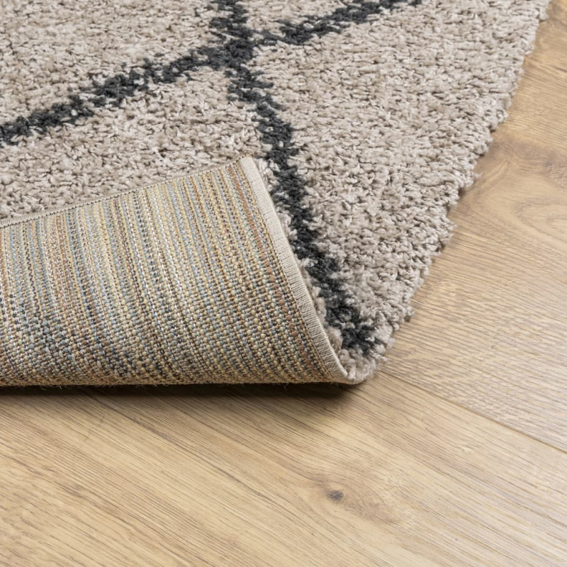 Teppich Shaggy Hochflor Modern Beige und Anthrazit 60x110 cm