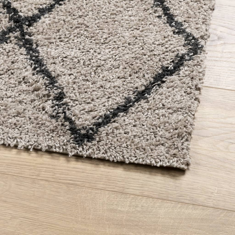 Shaggy-Teppich Hochflor Modern Beige Anthrazit 200x280 cm