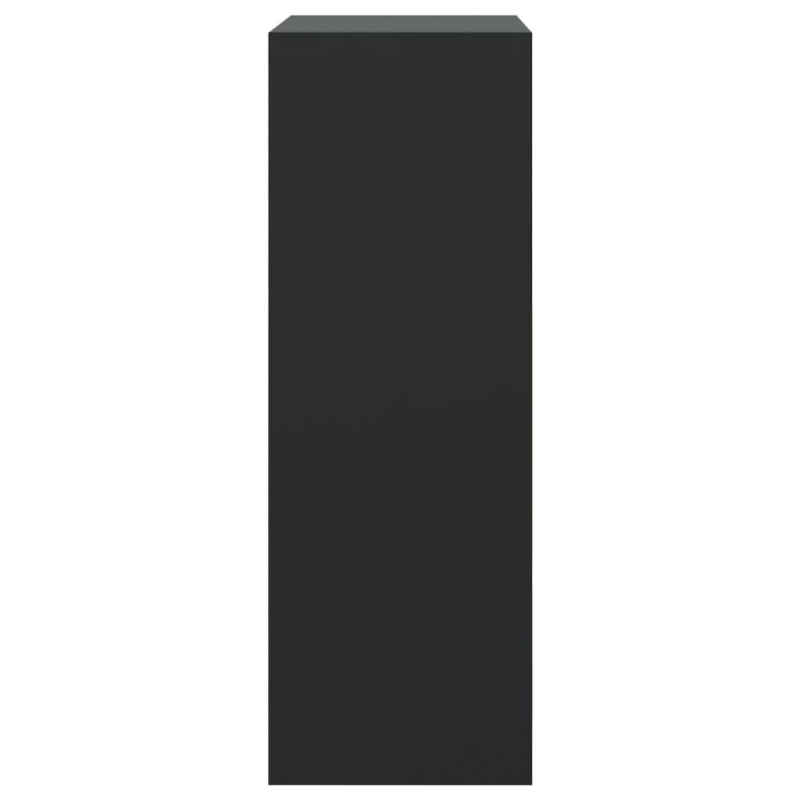 Schuhschrank Schwarz 60x34x96,5 cm Holzwerkstoff