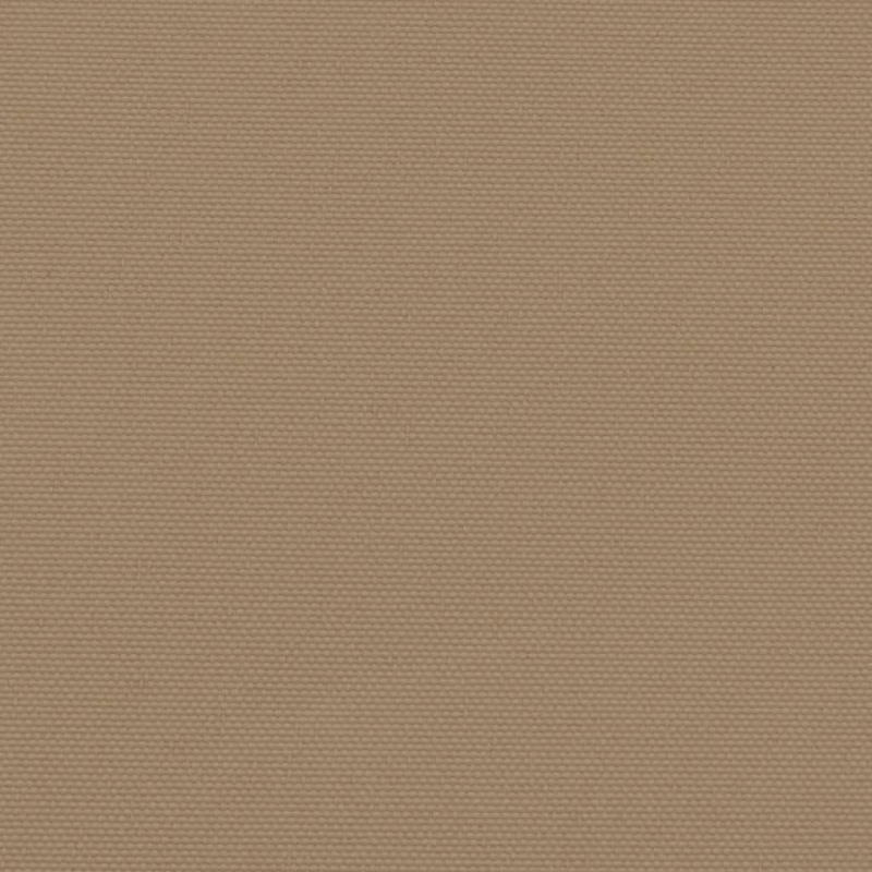 Seitenmarkise Ausziehbar Taupe 220x300 cm