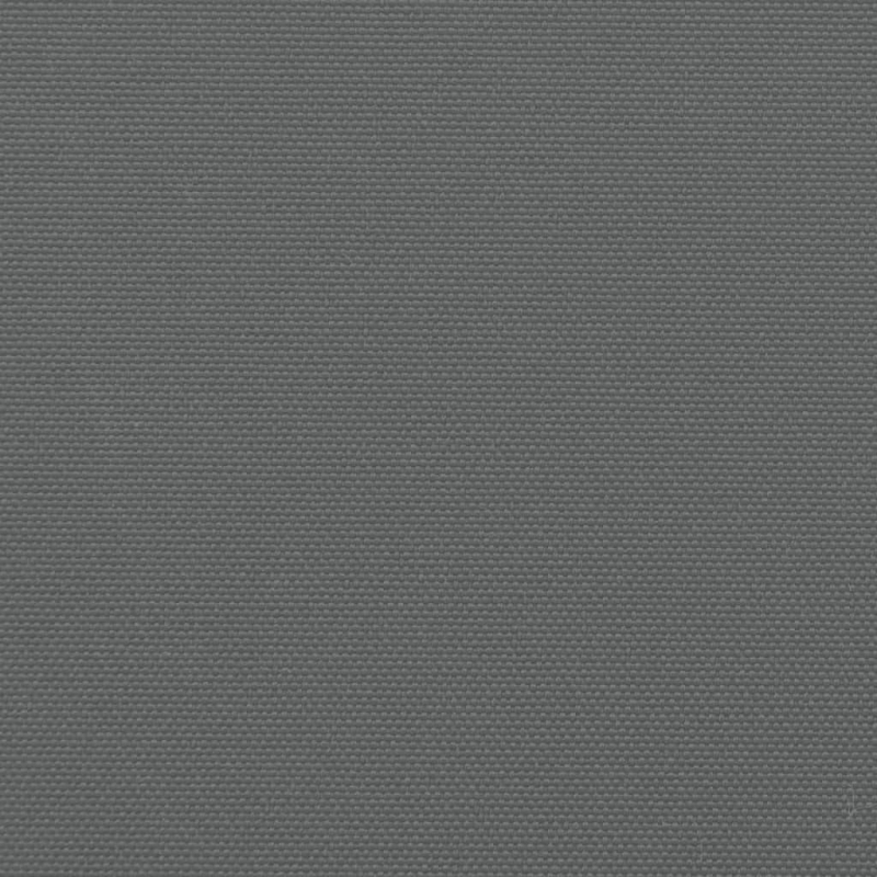 Seitenmarkise Ausziehbar Anthrazit 220x300 cm