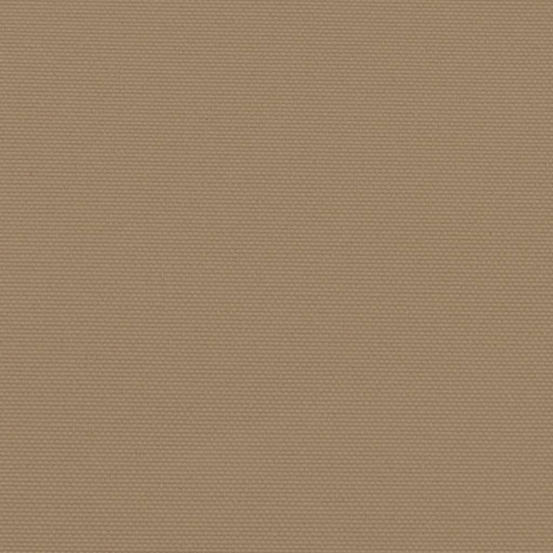 Seitenmarkise Ausziehbar Taupe 120x1000 cm