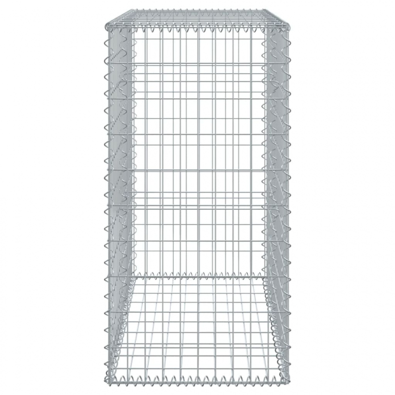 Gabione mit Deckel 100x50x100 cm Verzinktes Eisen