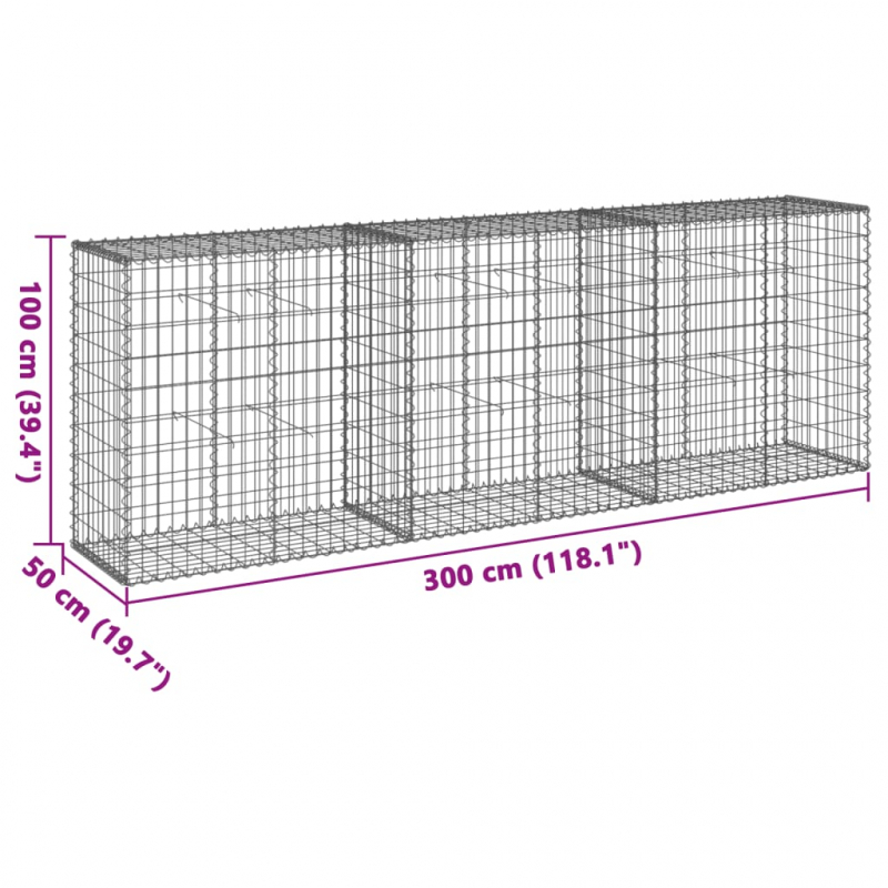 Gabione mit Deckel 300x50x100 cm Verzinktes Eisen