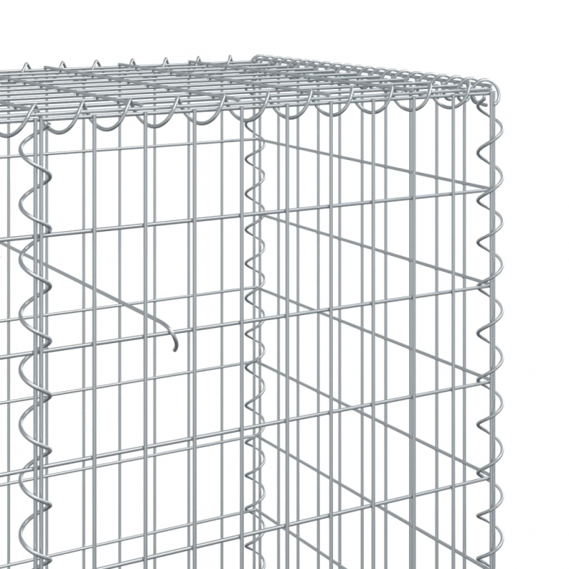 Gabione mit Deckel 500x50x100 cm Verzinktes Eisen