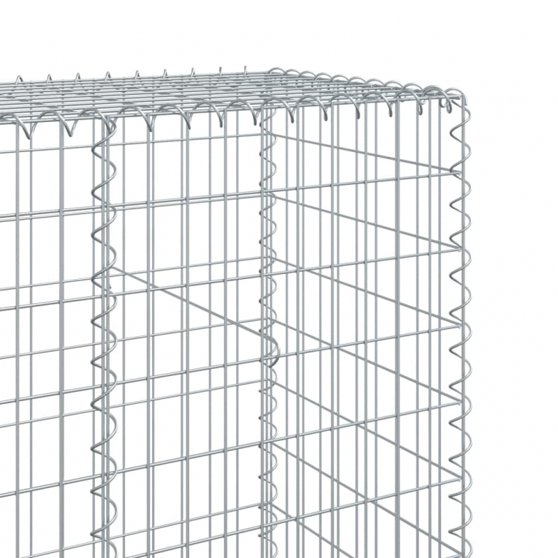 Gabione mit Deckel 1100x50x200 cm Verzinktes Eisen