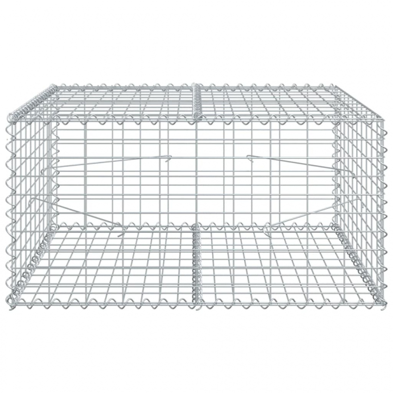 Gabione mit Deckel 100x100x50 cm Verzinktes Eisen