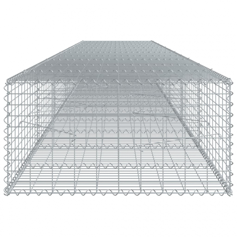 Gabione mit Deckel 600x100x50 cm Verzinktes Eisen