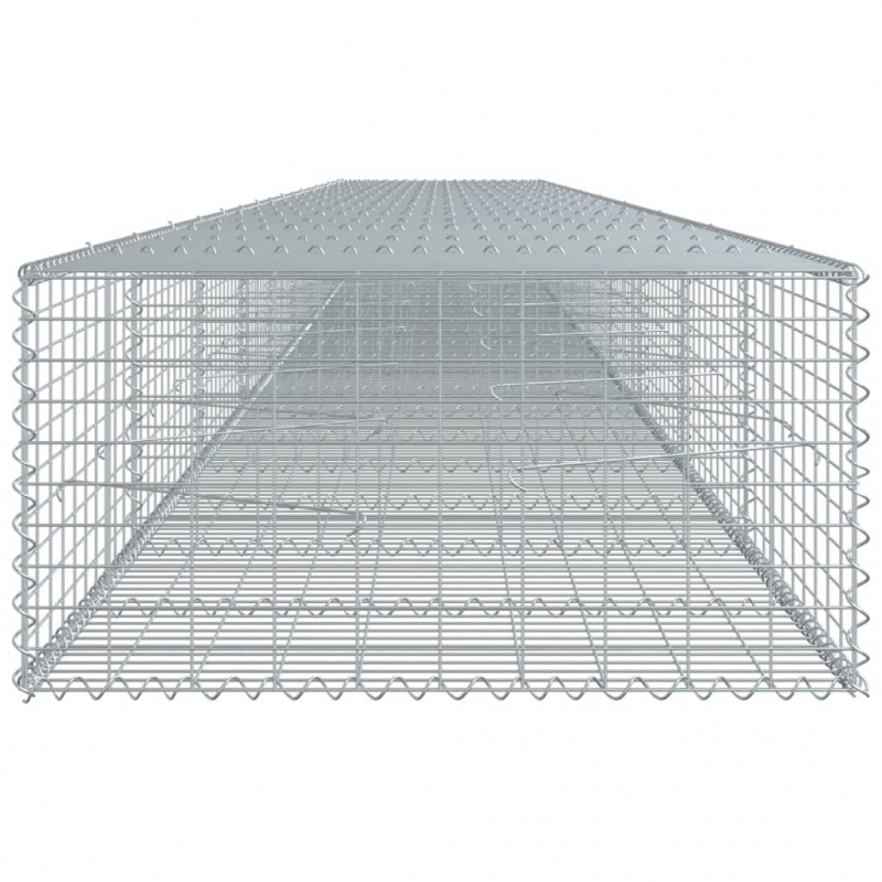 Gabione mit Deckel 900x100x50 cm Verzinktes Eisen