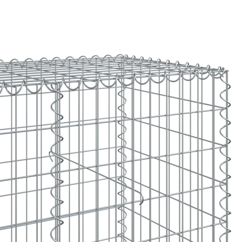 Gabione mit Deckel 650x100x100 cm Verzinktes Eisen