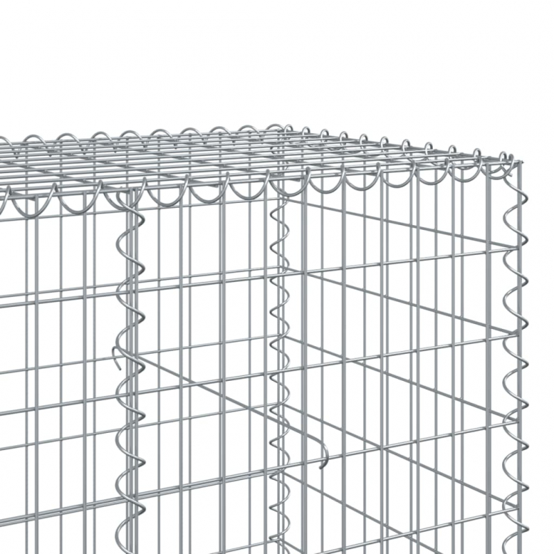 Gabione mit Deckel 950x100x100 cm Verzinktes Eisen