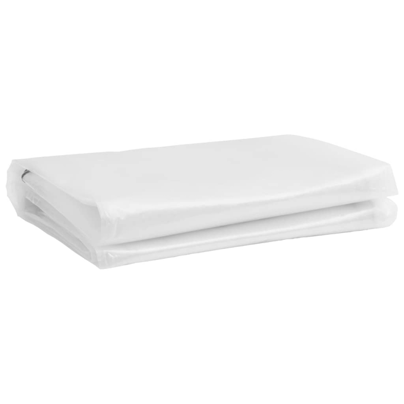 Transparente Plane mit Ösen 1x3 m Polyethylen