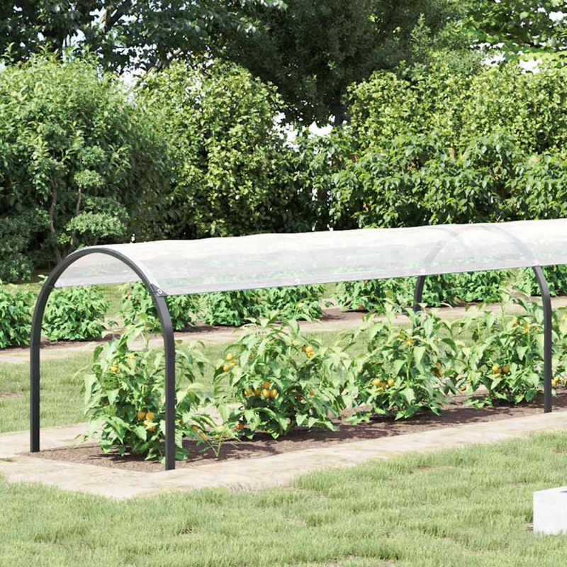 Transparente Plane mit Ösen 1x12 m Polyethylen