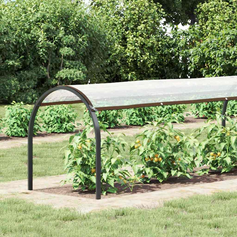 Transparente Plane mit Ösen 1x8 m Polyethylen