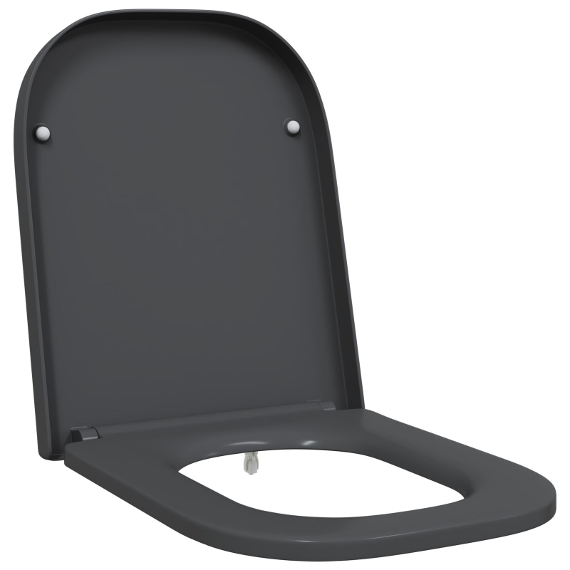 Toilettensitz mit Schnellverschluss und sanftem Schließen Duroplast Anthrazit