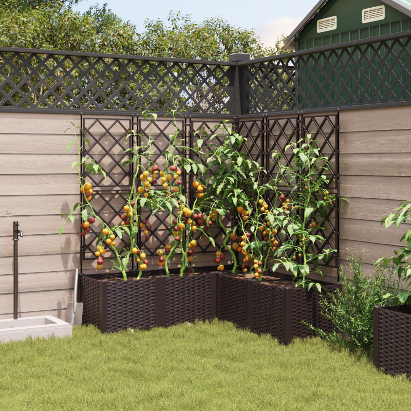 Gartenpflanzer mit Spalier 5 Stück Braun 120x120x143 cm