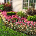 Weidengitter 5 Stk. mit künstlichen Blättern 180×90 cm – Bild 4