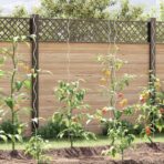 Tomaten-Spiralstäbe / Pflanzenstütze Stahl – Bild 3