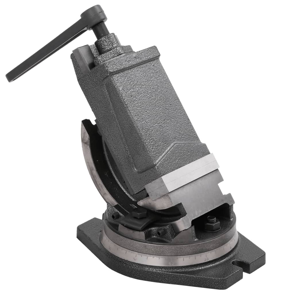 145390_1.jpg 2-Achsen-Schraubstock Kippbar 100 mm – Bild 1