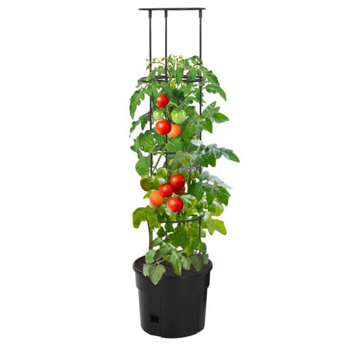 Tomatentopf Anthrazit Ø29,5x115 cm Polypropylen – Bild 2