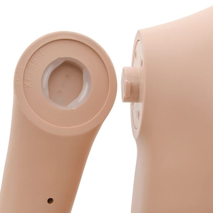 Schaufensterpuppe Frau A – Bild 9