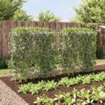 Pflanzennetze 2 Stk. U-Rahmen Stahl – Bild 3