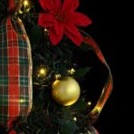 Künstlicher – Bild 7