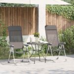 Klappbare Campingstühle 2 Stk. Grau Aluminium