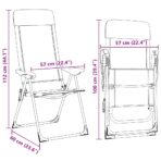 Klappbare Campingstühle 2 Stk. Grau Aluminium – Bild 12