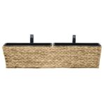 Blumenkasten 2 Stk. Wasserhyazinthe – Bild 6