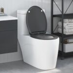 Toilettensitz Anthrazit 47 x 37,5 x 3,8 cm Duroplast